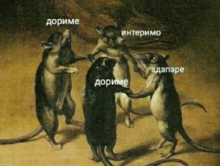 Telegram sticker 🐁 На все случаи жизни