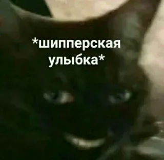 Telegram sticker 😼 На все случаи жизни