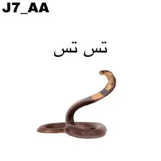 Telegram sticker 🐍 عبدالاله JKR