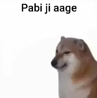 Video sticker 🌟 @punjabi_chats