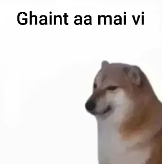 Телеграм стикер 🌟 @punjabi_chats