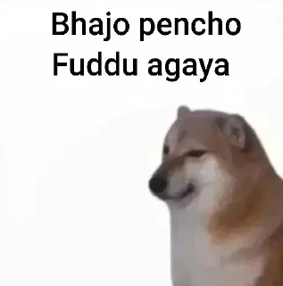 Телеграм стикер 🌟 @punjabi_chats