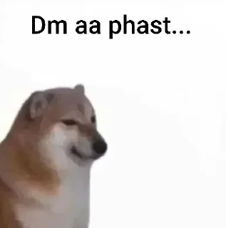 Телеграм стикер 🌟 @punjabi_chats