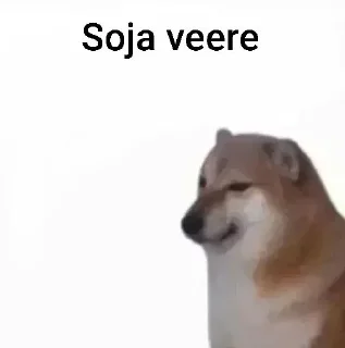 Телеграм стикер 🌟 @punjabi_chats