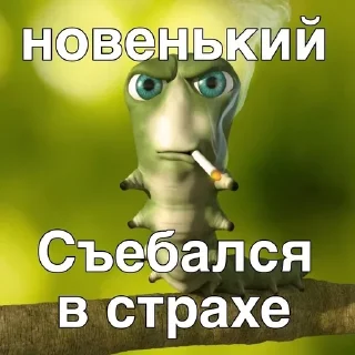 Video sticker 🌟 Больше стиков тут: @stikery4
