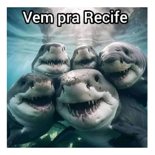 Video sticker 👄 Vai tomar no cu 8.0 @sarapateldecarne