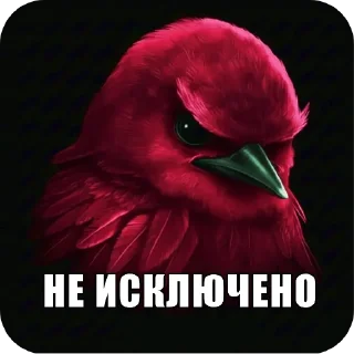 Telegram sticker 🖼 Вряд-ли стикеры тут @dahi_404