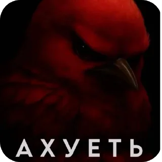 Telegram sticker 🖼 Вряд-ли стикеры тут @dahi_404