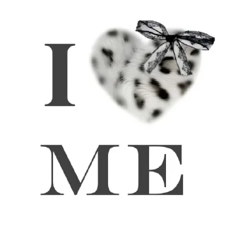 Video sticker 🤩 мяу мяу писи писи тгк @meowstickerrr