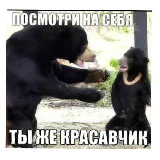 Telegram sticker 🖼 Дебилизм XD