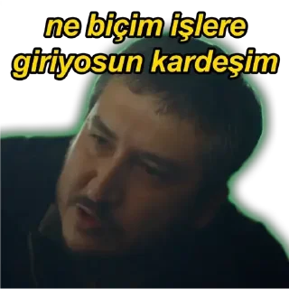 Video sticker ☺️ GİBİ