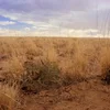 Video sticker 🤕 #1 Saul Goodman @f...