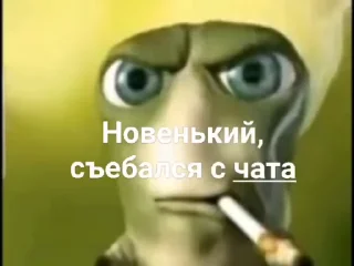 Video sticker 🤬 гусеница :: @fStikBot