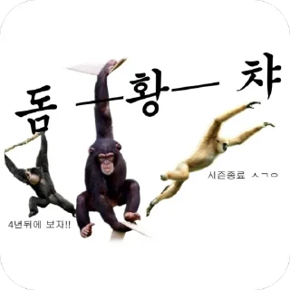 Telegram stiker 🏃‍♂️ 차갤