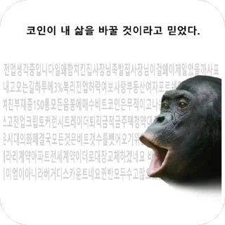 Video sticker 🪙 차갤