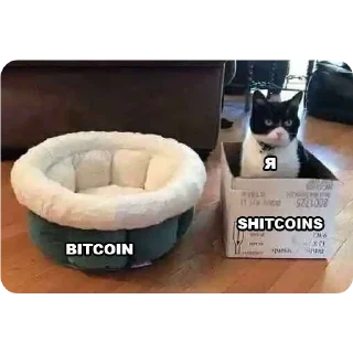 Telegram sticker 💼 Crypto Reality