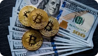 Телеграм стикер 🥇 Crypto Reality
