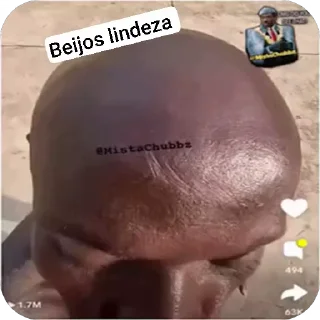 Video sticker 🌟 chatonildo :: 😜😎 :: @fStikBot