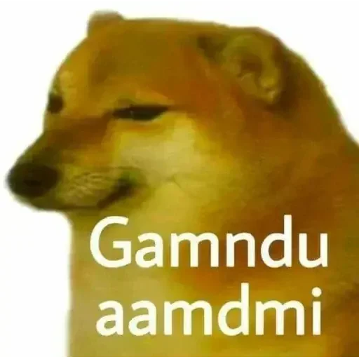 Telegram sticker 😎 DOGESHSTK2 @D0GESH_7