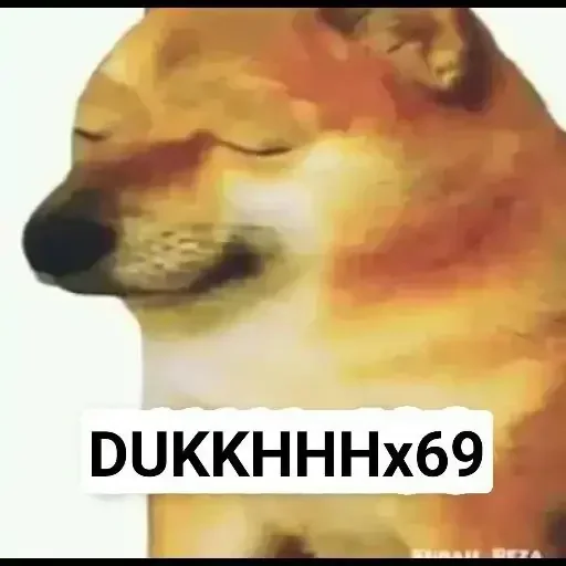 Telegram sticker 😊 DOGESHSTK2 @D0GESH_7