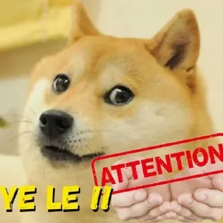 Video sticker 😄 DOGESHSTK2 @D0GESH_7