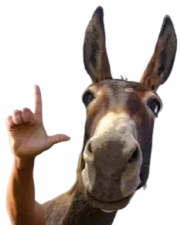 Video sticker 🤙 Politica bostileira 💩