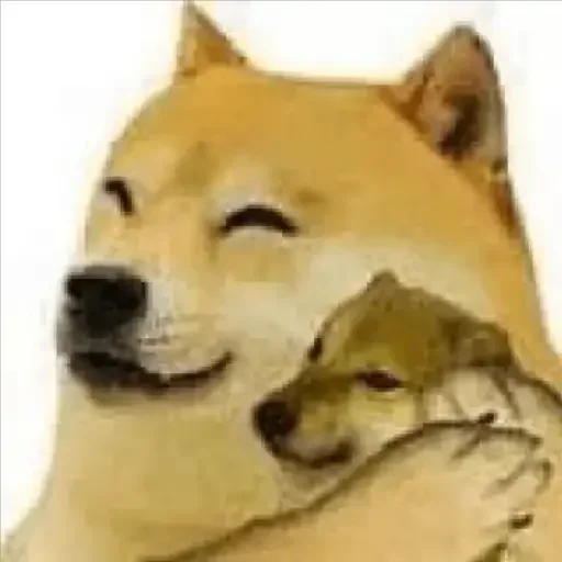 Telegram sticker 🥰 @AN0N1M_z 2