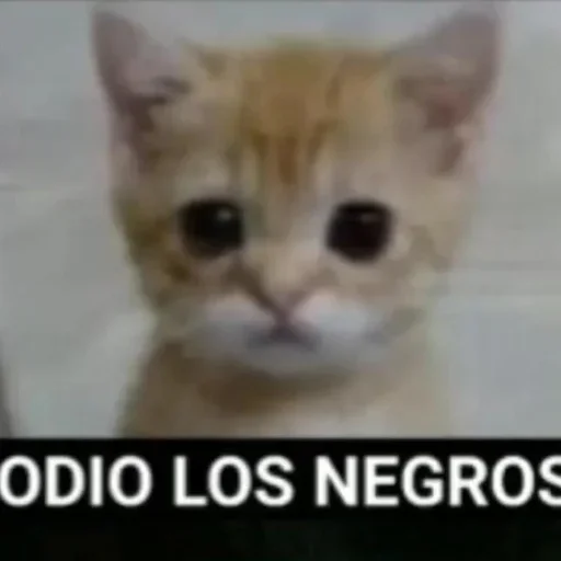 Telegram sticker 🌟 @AN0N1M_z 2