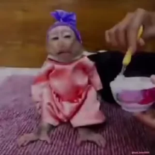 Video sticker 💀 @AN0N1M_z 2