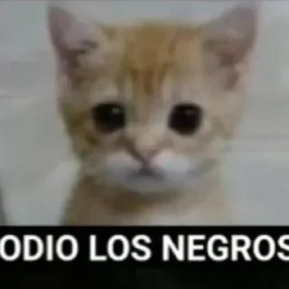 Video sticker 🌟 @AN0N1M_z 2