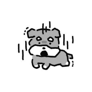 Video sticker 💬 화안났슈나우저 By @KakaoEmoticon