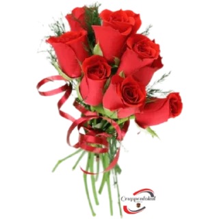 Telegram sticker 🌹 NoPorn