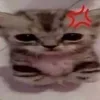 Video sticker 😤 mmm ➜ @emoji1