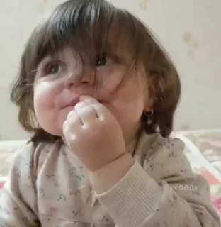 Video sticker 🤩 𝗧𝗛𝗘 𝗩𝗔𝗦𝗛𝗨 𝗣𝗔𝗖𝗞