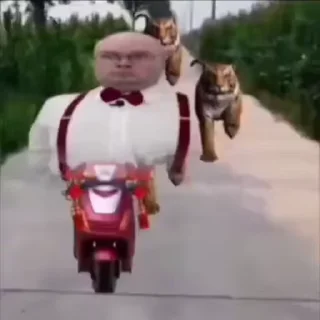 Video sticker 🥹 Больше стиков тут: @stikery4