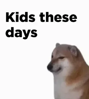 Video sticker 🐕‍🦺 Sa gar pack :: @fStikBot