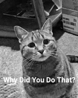 Video sticker ❔ Sung Jin-Woo's Sticker Pack