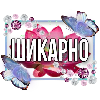 Telegram sticker 🌺 Cтик @start_v_uspeh