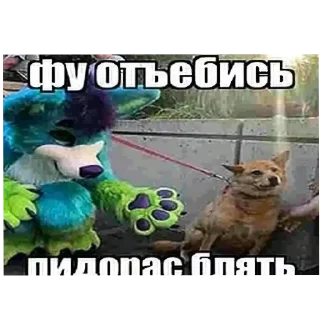 Telegram sticker 🤢 похуй