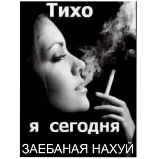 Video sticker 🚬 похуй