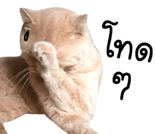 Video sticker ⭐ @JKSSTIK30