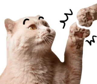 Telegram sticker ⭐ @JKSSTIK30