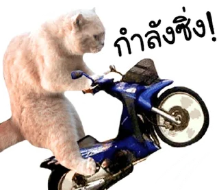 Telegram sticker ⭐ @JKSSTIK30