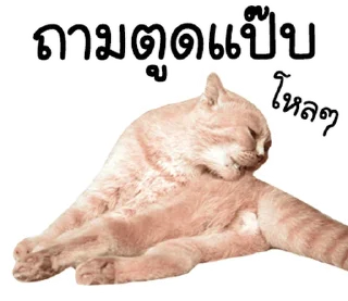 Telegram sticker ⭐ @JKSSTIK30