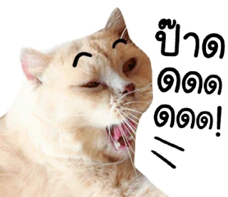 Telegram sticker ⭐ @JKSSTIK30