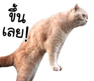 Sticker ⭐ @JKSSTIK30