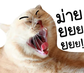 Telegram sticker ⭐ @JKSSTIK30