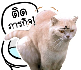 Video sticker ⭐ @JKSSTIK30