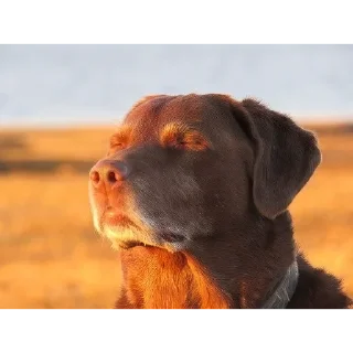 Telegram sticker 🤣 Эм