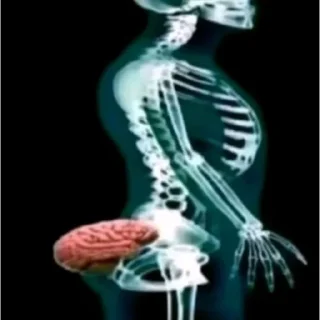 Video sticker 🤣 Эм